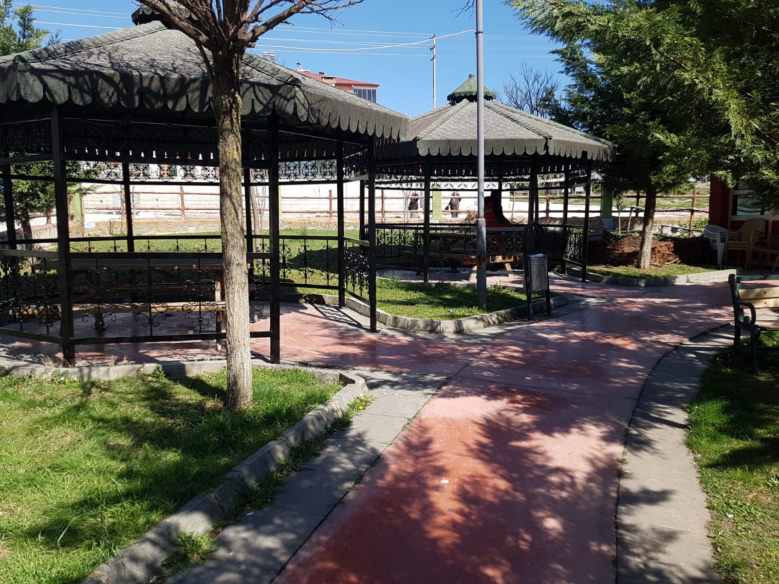 Korona virüs parklara iyi geldi